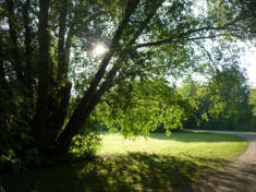 Ein Bild wie im Mrchen
