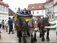 Die Pferde der Postkutsche